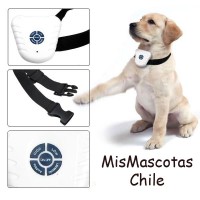 Tienda mismascotas