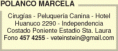 POLANCO MARCELA 